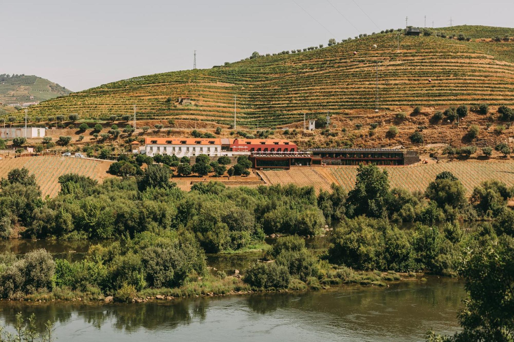 Torel Quinta Da Vacaria - Douro Valley Peso da Régua Kültér fotó