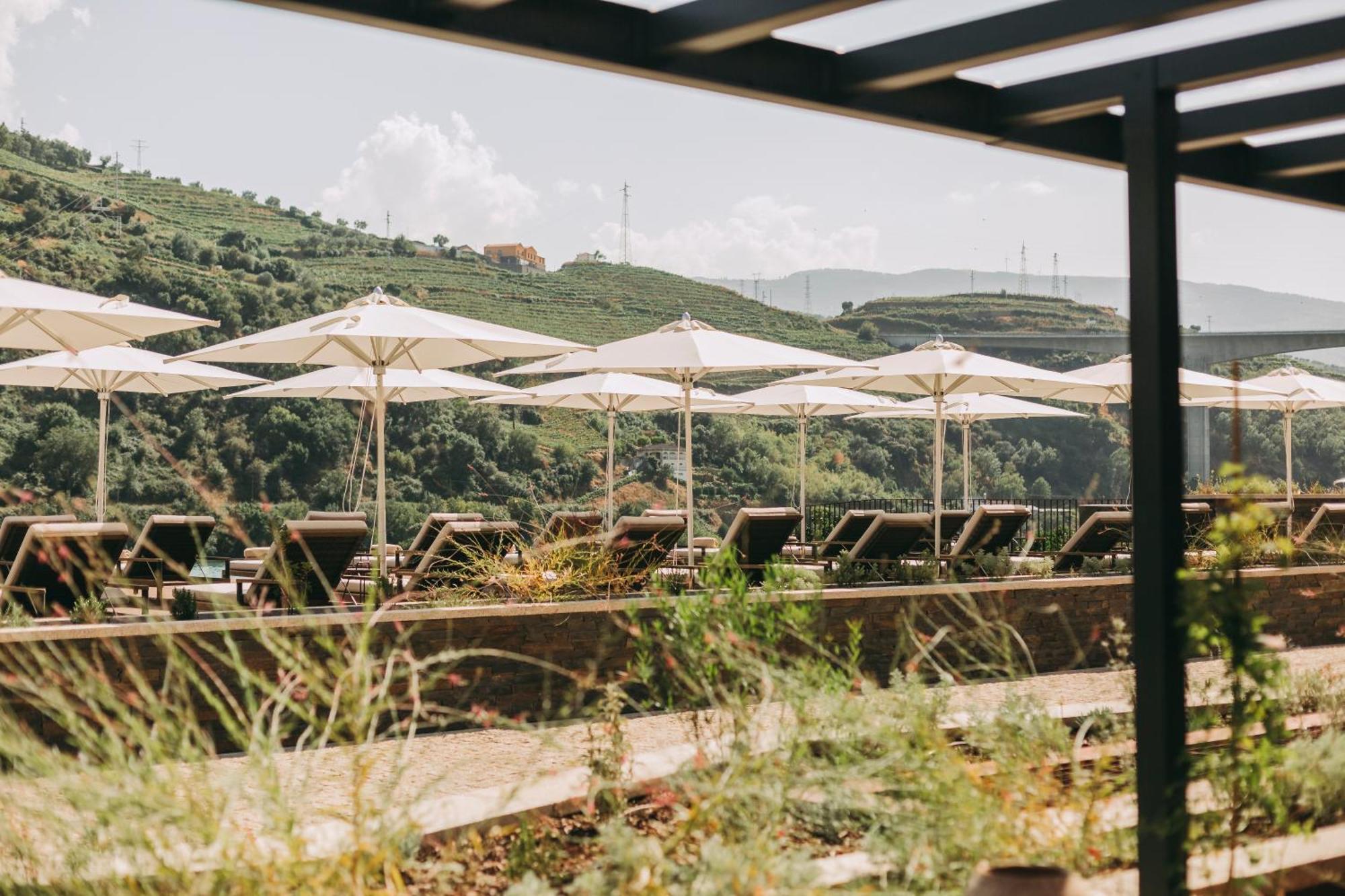 Torel Quinta Da Vacaria - Douro Valley Peso da Régua Kültér fotó